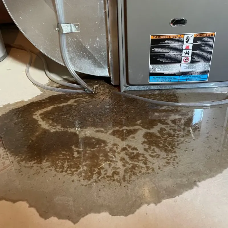 Pipe Burst and Leak Restoration in Lake and Peninsula Borough, AK